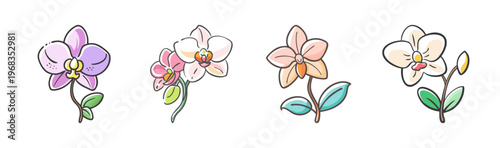 Pastel orchid flower icons set, hand drawn botanical orchid blossoms in SVG format, elegant floral elements for wedding invitations and spa branding