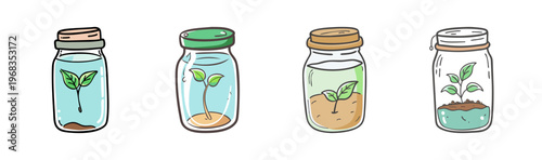 Plant propagation: seedlings growing in glass jars with water and soil