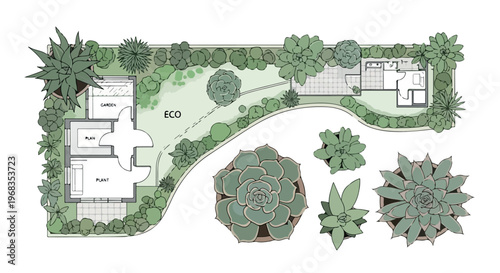Eco garden landscape design plan, architectural site map with succulent plants and trees, sustainable backyard layout vector illustration isolated PNG with Transparent Background