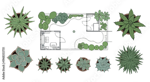 Landscape design plan with garden layout and potted plants, architectural floor plan with green succulents, top view vector set for landscaping isolated PNG with Transparent Background