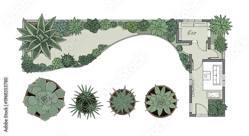 Landscape design plan vector, architectural garden layout with succulent plants and eco house floor plan, professional backyard landscaping blueprint isolated PNG with Transparent Background