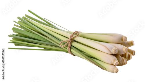 Photos Bundle of fresh green lemongrass stalks tied with rustic twine, isolated on tran