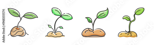 Four stages of a plant seedling sprouting from a seed in soil, growth concept