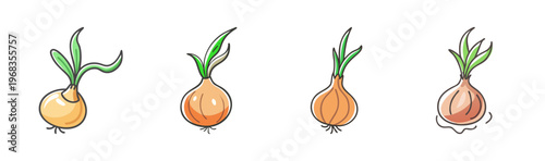 Hand drawn onion bulb set with green sprouts, organic vegetable vector icons, 4 garden onion illustrations in sketch style for culinary design
