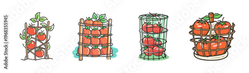 Various tomato cages and supports for growing ripe red tomatoes, vector illustration