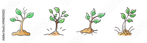 Tree saplings growing from soil, showing root systems and new leaves