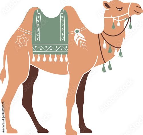 Decorated Camel with Saddle Blanket.