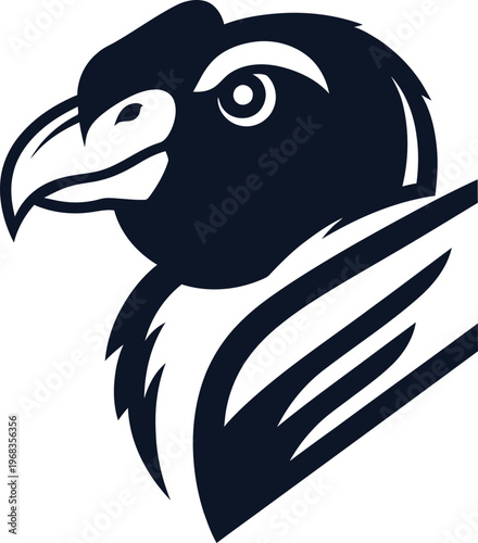 Eagle Bird Head Illustration Closeup.