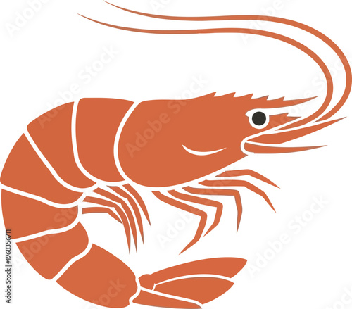 Large orange prawn side view illustration.