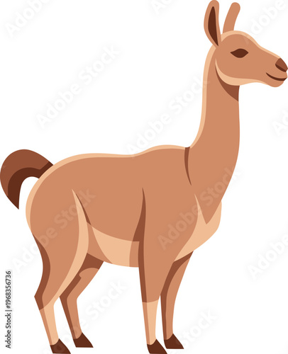 Llama standing in profile view.