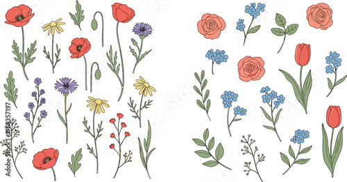 Hand drawn wildflowers vector set with floral botanical elements roses tulips and meadow plants collection for spring design wedding decoration and nature illustration