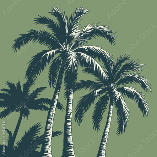 Coconut tree vector image