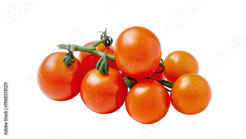 Vászonkép Vibrant ripe cherry tomatoes clustered on a green vine, isolated on transparent