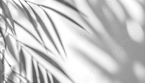 black and white abstract background