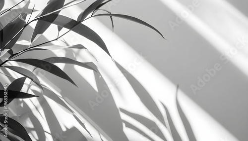 bamboo leaves background