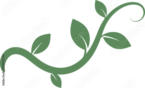 Green leafy vine stem with leaves.