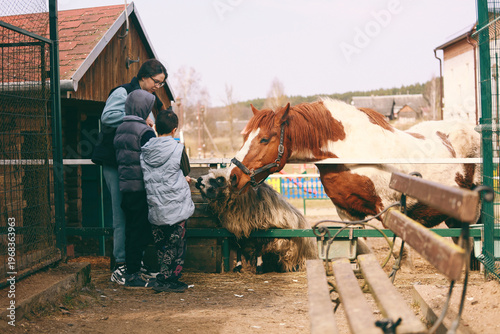 mother and children feeding animals at the zoo