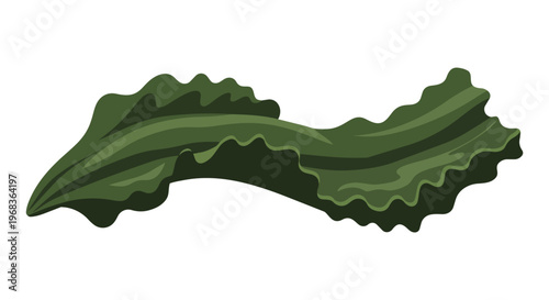Stylized illustration of a single, wavy, elongated green seaweed frond against a stark white background, emphasizing its organic form and texture.