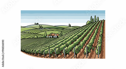 Rolling green hills covered in a vineyard with a distant farmhouse under a blue sky