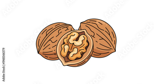 Stylized depiction of two whole walnuts and one halved walnut revealing its textured interior kernel and shell details against a white background