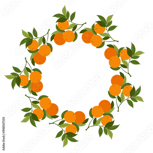 Circle frame with orange citrus fruit, branches with leaves. Round border of fresh juicy citrus isolated on white background. Fruit wreath for food design, packaging, menu, healthy lifestyle themes.