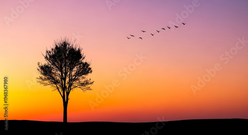 Silhouette tree sunset with flying birds serene landscape nature scene at dusk peaceful environment
