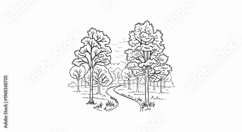Winding forest path through deciduous trees, sketch-style