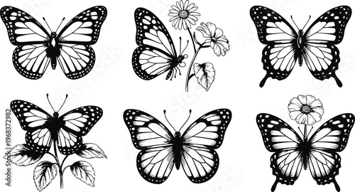 Vector illustration of butterflies with detailed wings interacting with flowers and plants