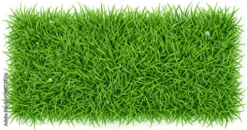 Generate a realistic Top view of Fresh Spring Green Grass - natural background - 3d vector art with white background..