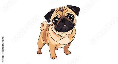 Cute Pug Dog Standing Alone.