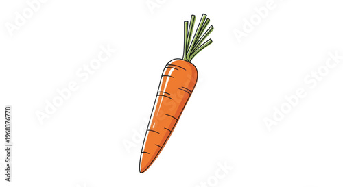 Fresh orange carrot vegetable root.