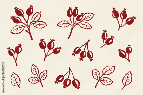 Rosehip botanical doodle icon set hand drawn vector illustration