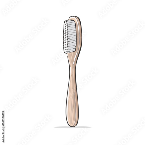 Simple illustration of a wooden handled toothbrush with white bristles and a clean design