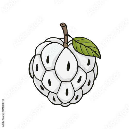 Sweet Custard Apple Fruit with Leaf and Stem Illustration Fresh and Exotic Food