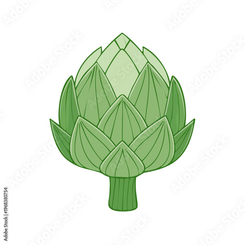 Single fresh green artichoke vegetable isolated with thick stem and layered petals