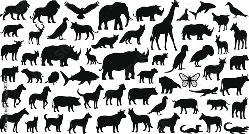 Animal silhouette collection, wildlife, domestic pets, birds, marine life, insects, reptiles, black vector icons, nature diversity, taxonomy reference