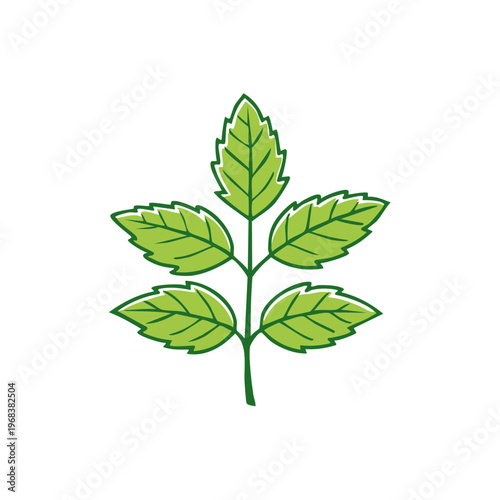 Stylized Green Leafy Plant Stem With Serrated Edges And Veins