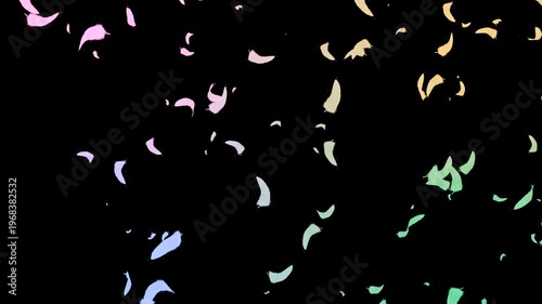 Colorful Feathers Floating on Transparent Background (Alpha Channel)｜様々な色の羽根が舞い散る アルファチャンネル付き透過素材
