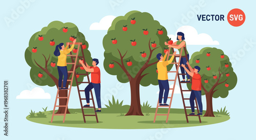 People Picking Apples From Trees.