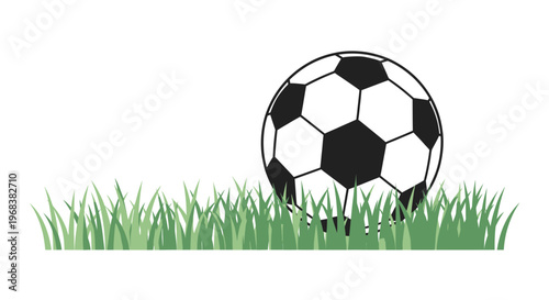 Soccer ball on green grass field.