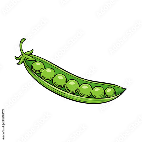 Fresh green pea pod bursting with round, ripe peas in a hand-drawn illustration style.