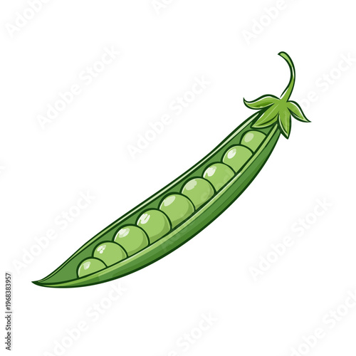 Open green pea pod with ripe peas inside, healthy food illustration