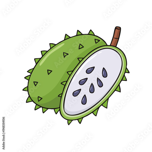 Illustration of a whole and halved soursop fruit with spiky green skin and white pulp with seeds