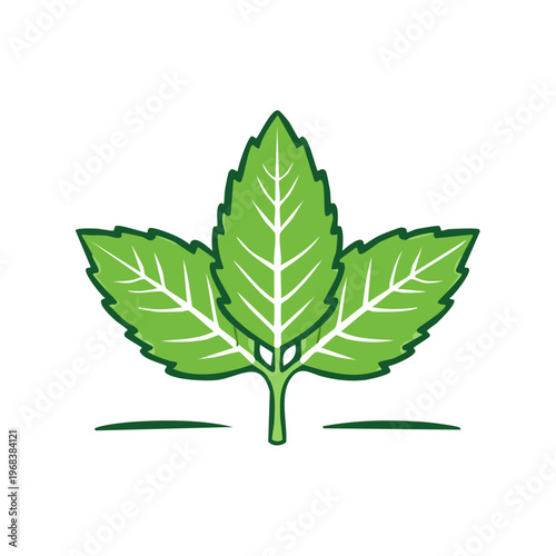 Stylized Green Mint Leaves Emblem with White Outline and Veins