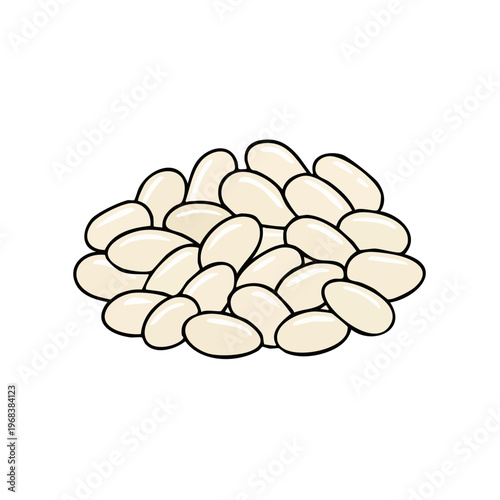 Pile of white beans illustrated with a simple and clean drawing style