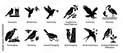Collection of black silhouette icons illustrating various bird feeding behaviors and ecological roles, including granivory, carnivory, nectarivory, scavenging, and pollination