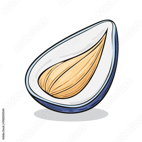 Hand-drawn illustration of a mussel half revealing its textured interior and shell