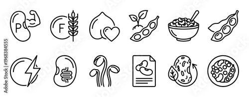 Set of black line art icons representing legumes, beans, and their nutritional benefits like protein, fiber, and energy for a healthy plant-based diet, drawn in a simple outline style
