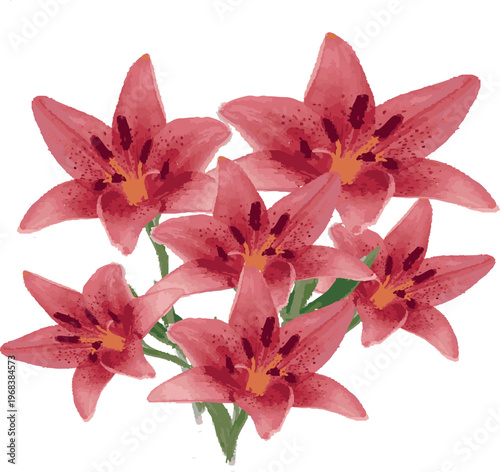 A handful of Tiger Lilies