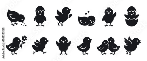 Set of cute black baby chick silhouettes showing various activities like hatching, sleeping, and eating in a minimalist graphic icon style for Easter or spring themes